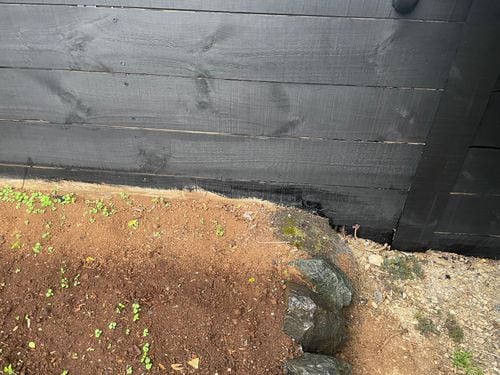 IMG_3344.jpeg IMG_3344.jpeg