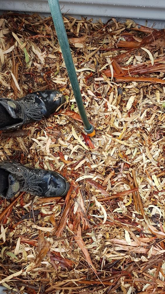 20190311_144326.jpg 20190311_144326.jpg