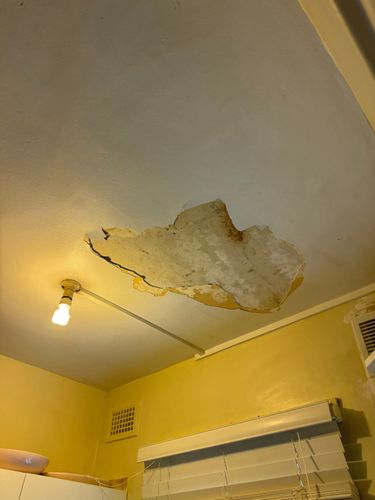 IMG_9007.jpeg IMG_9007.jpeg