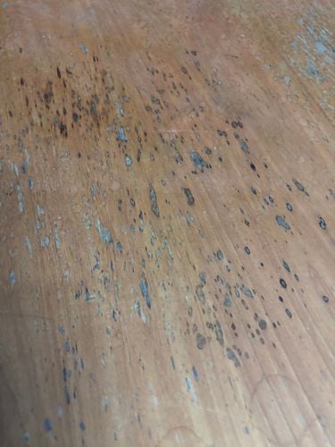 IMG_5617.jpeg IMG_5617.jpeg