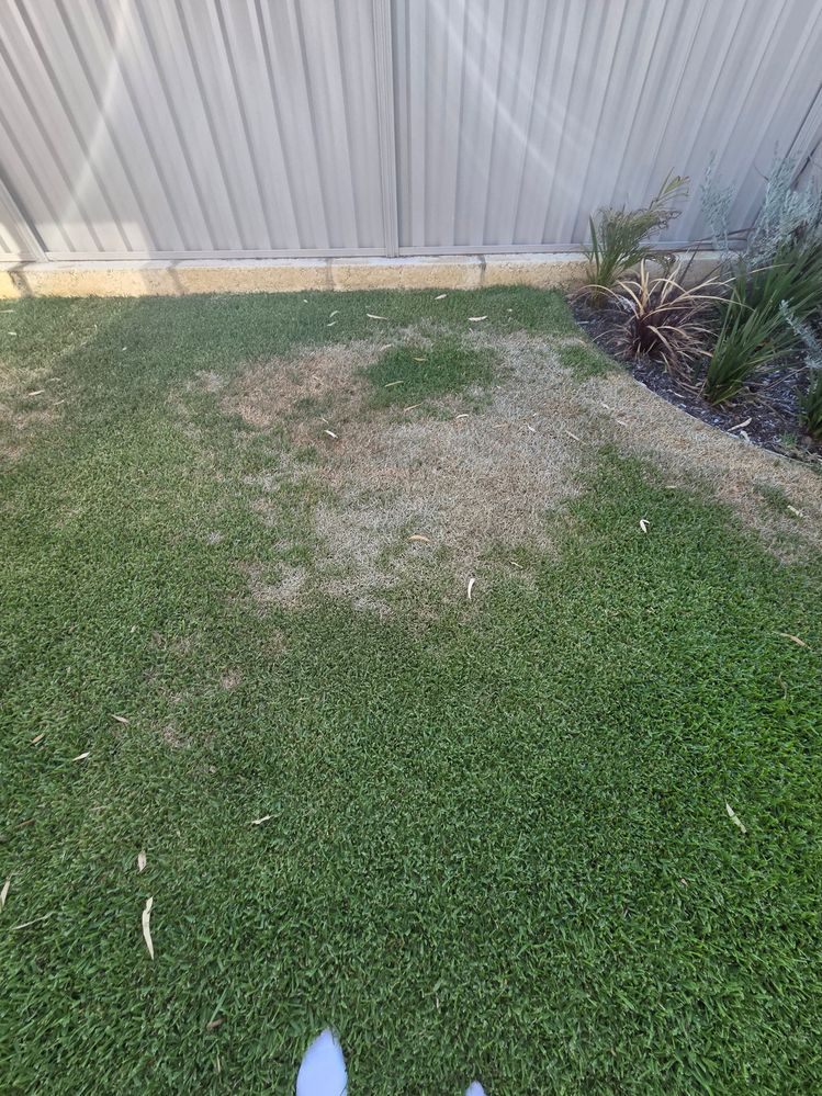 20251228_171529.jpg 20251228_171529.jpg