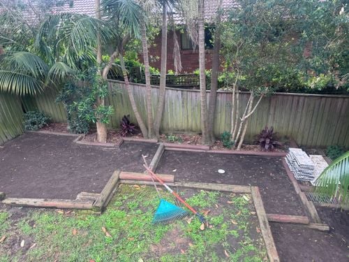 IMG_7786.jpeg IMG_7786.jpeg