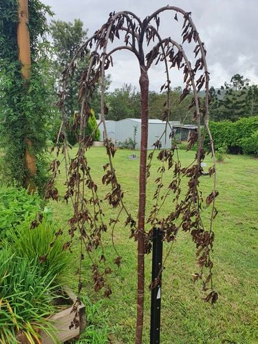 20220107_092726.jpg 20220107_092726.jpg