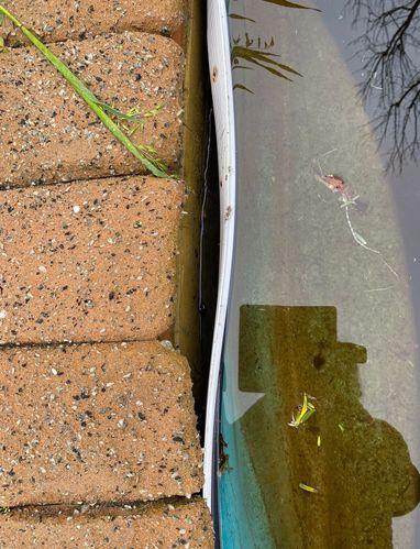 IMG_5943.jpeg IMG_5943.jpeg