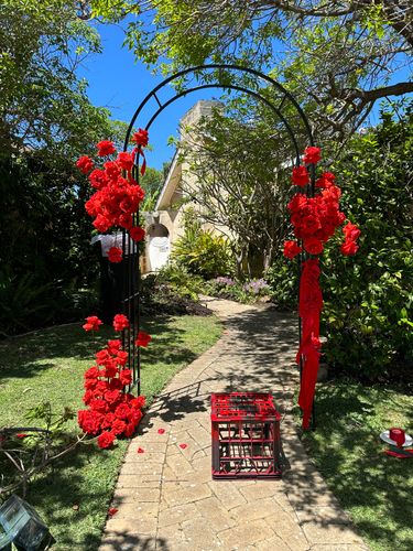 IMG_3082.jpeg IMG_3082.jpeg