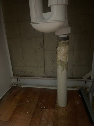 IMG_0230.jpeg IMG_0230.jpeg