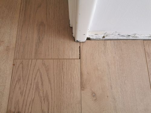 IMG_20250928_150733.jpg IMG_20250928_150733.jpg