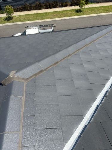 IMG_5765.jpeg IMG_5765.jpeg