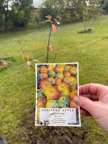 577C356D-35DF-4A54-8CA3-4B46DDF75DDC.jpeg 577C356D-35DF-4A54-8CA3-4B46DDF75DDC.jpeg