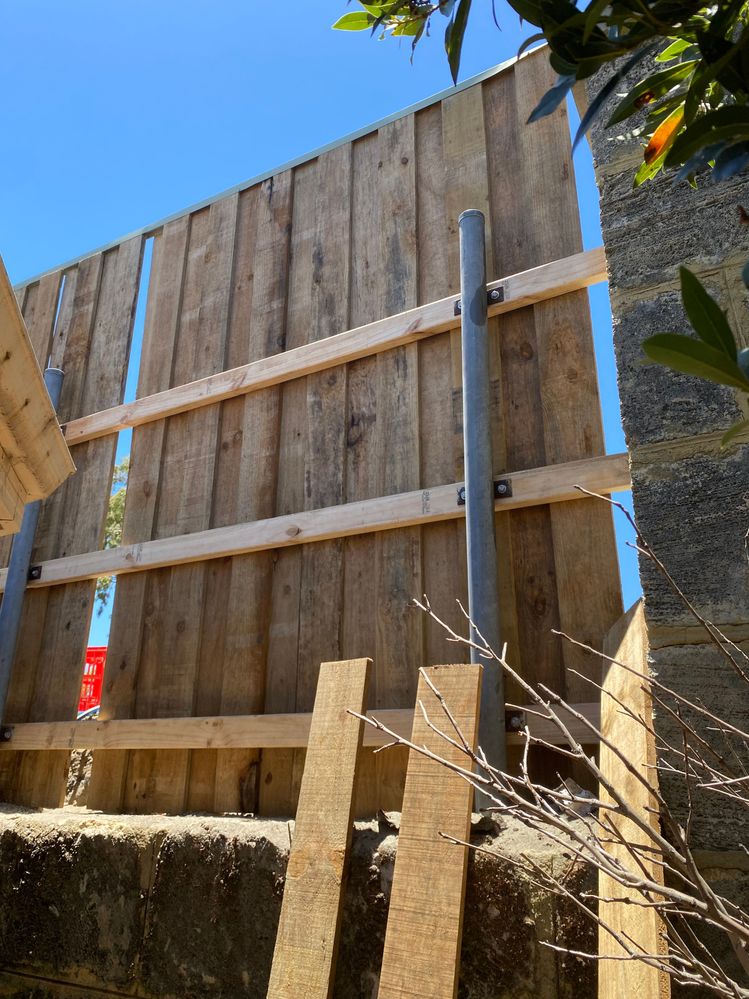 IMG_3859.jpeg IMG_3859.jpeg