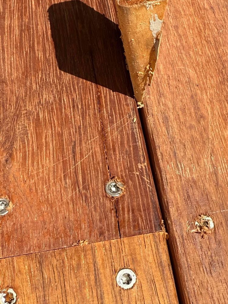 462569482_1357553678556414_3472282748184049616_n.jpg 462569482_1357553678556414_3472282748184049616_n.jpg