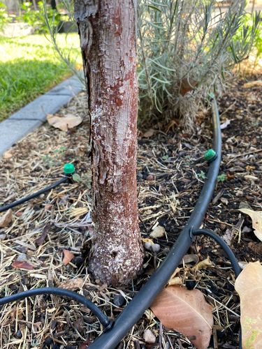 IMG_2067.jpeg IMG_2067.jpeg