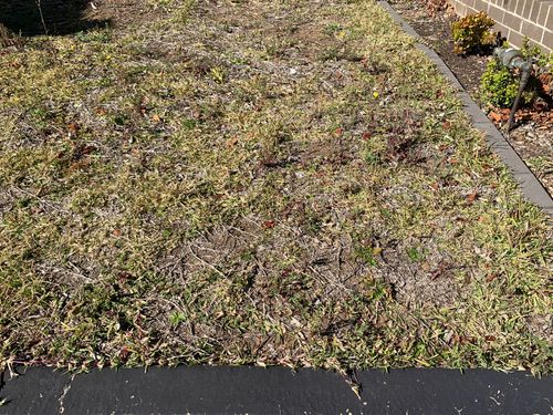 7A703455-2352-4ED9-89AB-5A96E12DF0C7.jpeg 7A703455-2352-4ED9-89AB-5A96E12DF0C7.jpeg