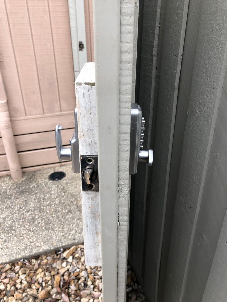 IMG_7065.jpeg IMG_7065.jpeg