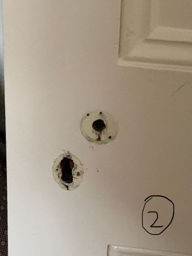 CE14CBBC-4EA8-461B-B9E6-16B8F336D9D1.jpeg CE14CBBC-4EA8-461B-B9E6-16B8F336D9D1.jpeg