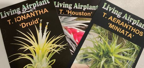 274BB289-67DE-4A99-88E3-F79D0B354C24.jpeg 274BB289-67DE-4A99-88E3-F79D0B354C24.jpeg