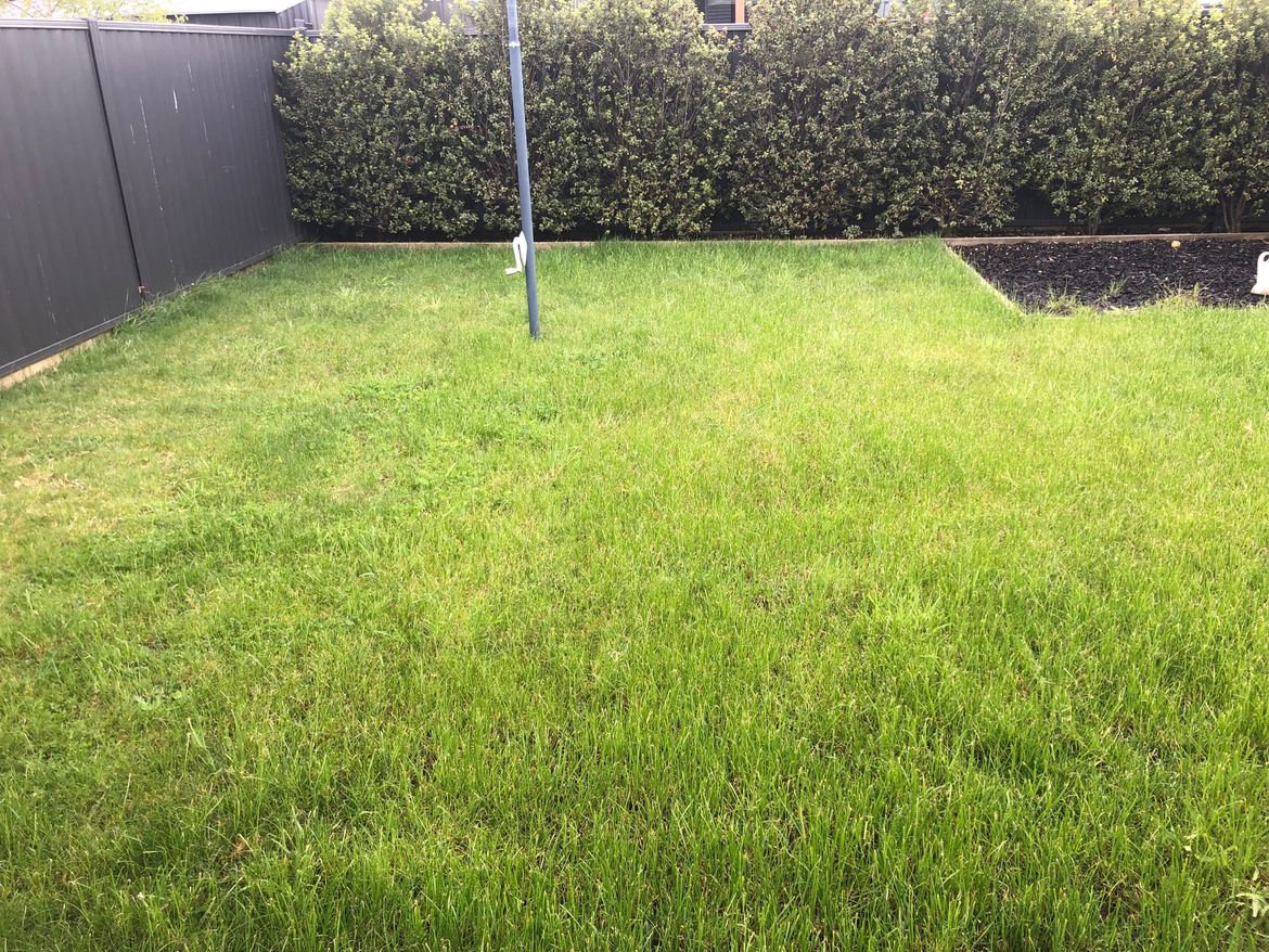 Backyard.jpg Backyard.jpg