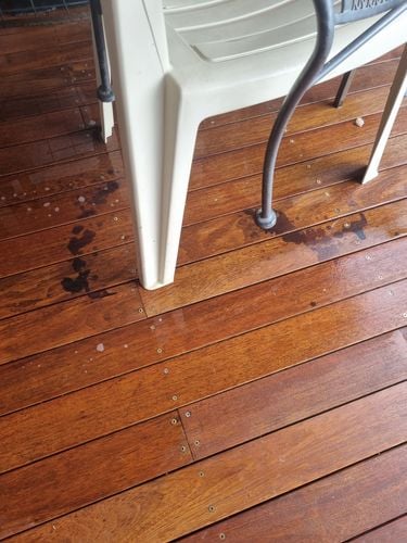 20221004_171532.jpg 20221004_171532.jpg