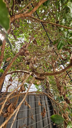 1000023886.jpg 1000023886.jpg