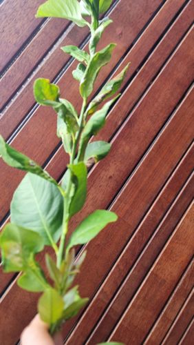 1000020053.jpg 1000020053.jpg