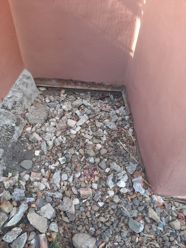 20250224_161028.jpg 20250224_161028.jpg