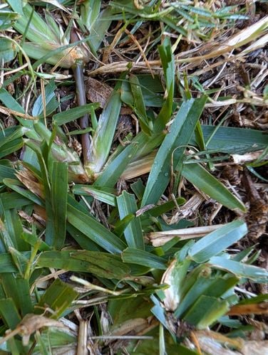 1000034697.jpg 1000034697.jpg