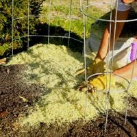 5.1. Add mulch.jpg 5.1. Add mulch.jpg