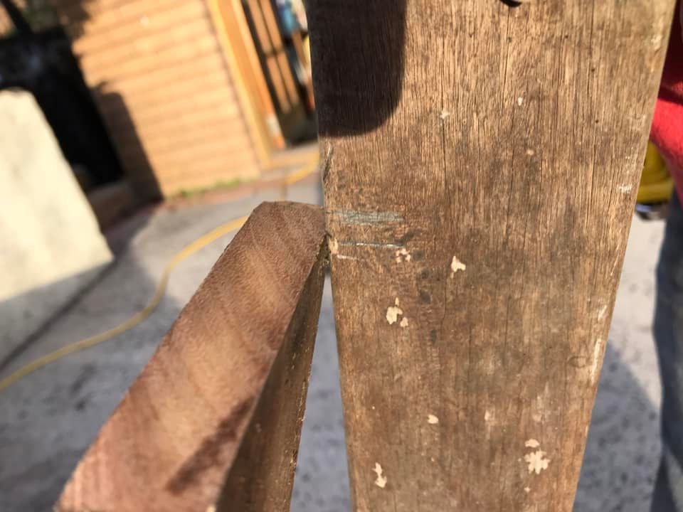 14 23-09-2023.jpg 14 23-09-2023.jpg