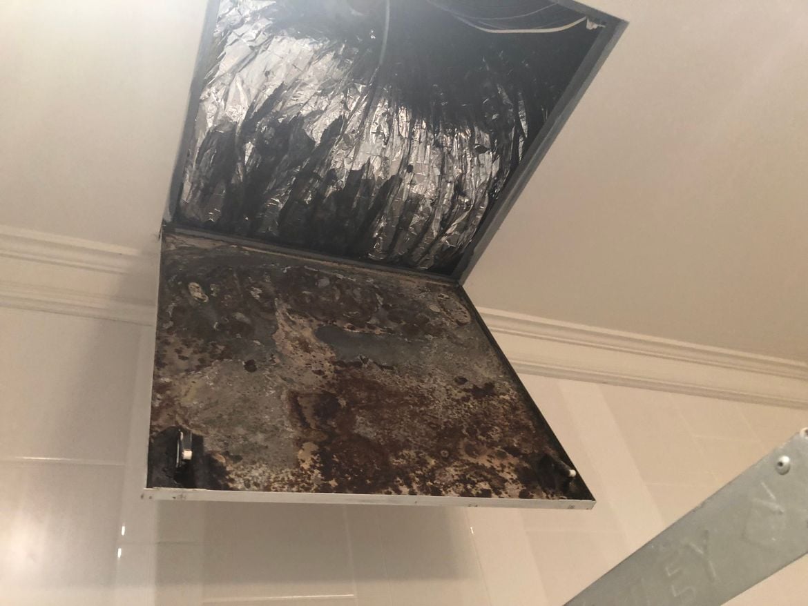 IMG_5929.jpeg IMG_5929.jpeg