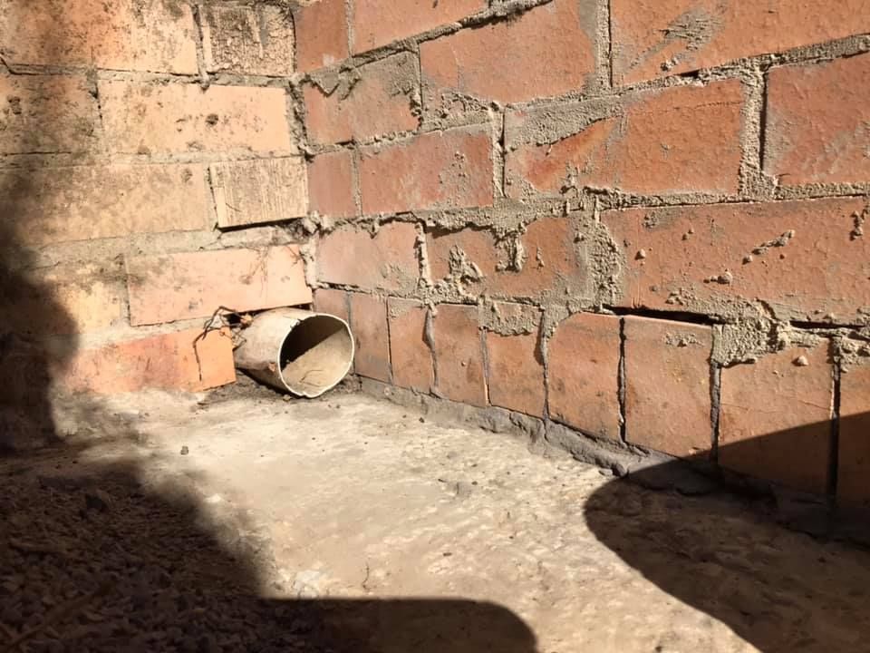 31 21-08-2021.jpg 31 21-08-2021.jpg