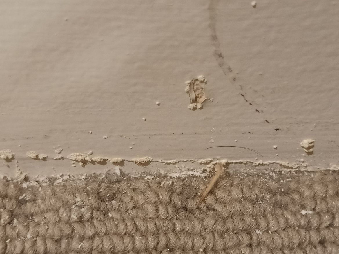 IMG20240722220414.jpg IMG20240722220414.jpg