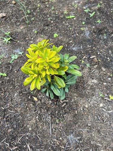 IMG_9976.jpeg IMG_9976.jpeg