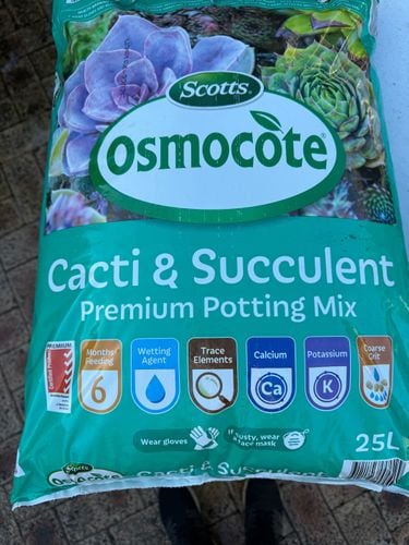 IMG_1194.jpeg IMG_1194.jpeg