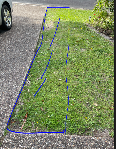 Sugar_8-1738188509008.png Sugar_8-1738188509008.png