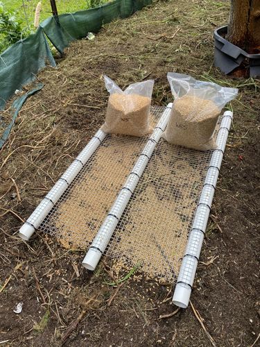 IMG_0920.jpeg IMG_0920.jpeg