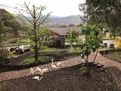 107 01-10-2022.jpg 107 01-10-2022.jpg