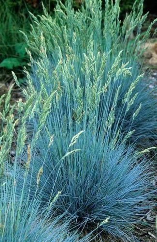 5098FBD4-5329-42B2-97D4-6186E692BAC3.jpeg 5098FBD4-5329-42B2-97D4-6186E692BAC3.jpeg