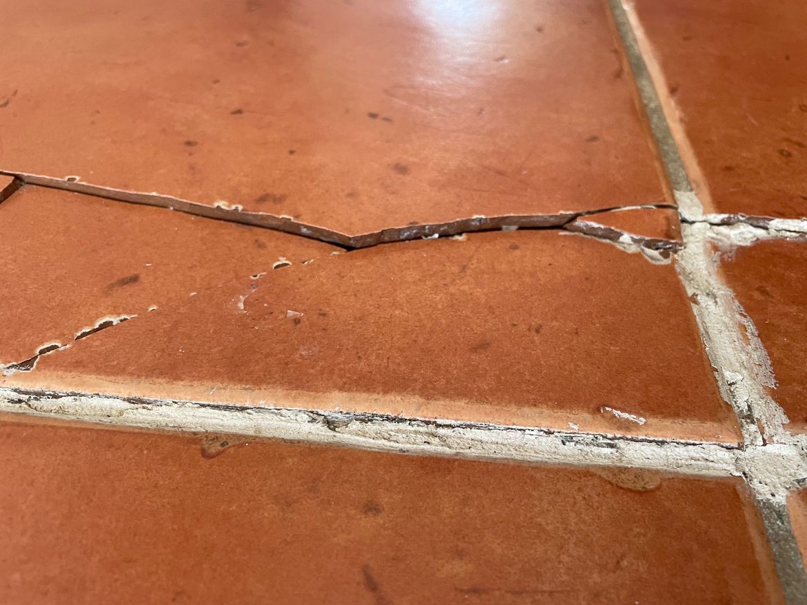 IMG_6884.jpg IMG_6884.jpg