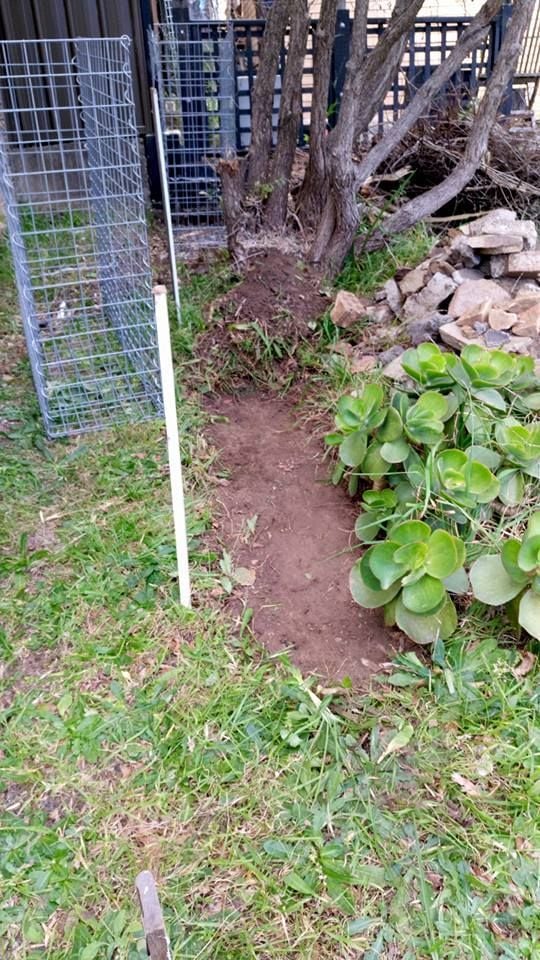 12-08-2017.jpg 12-08-2017.jpg