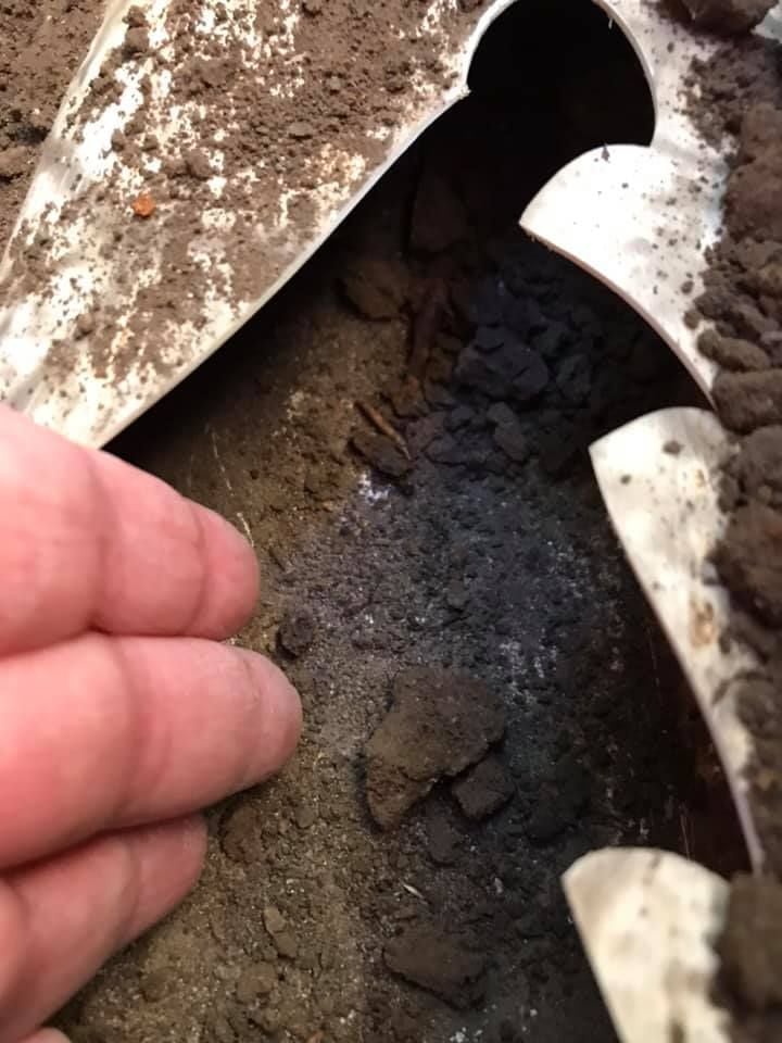 23 22-04-2021.jpg 23 22-04-2021.jpg