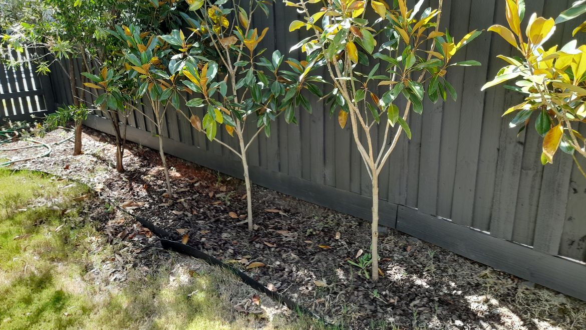 20260102_154458.jpg 20260102_154458.jpg