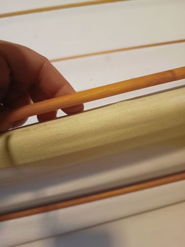 IMG_20250426_113808209.jpg IMG_20250426_113808209.jpg