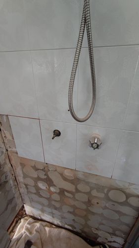 IMG_20251116_102548.jpg IMG_20251116_102548.jpg