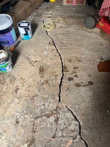 IMG_4837.jpeg IMG_4837.jpeg