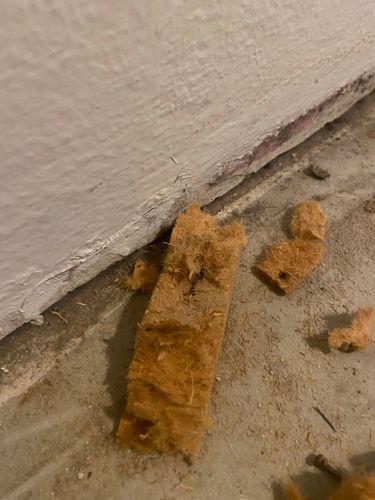 57266808-C7A8-4846-8E41-B04FD722F525.jpeg 57266808-C7A8-4846-8E41-B04FD722F525.jpeg