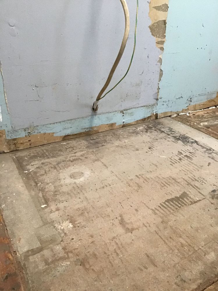 IMG_1002.jpeg IMG_1002.jpeg