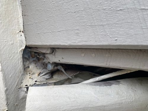 41CFDE10-0118-4468-9CC8-37CB0A3AFC18.jpeg 41CFDE10-0118-4468-9CC8-37CB0A3AFC18.jpeg