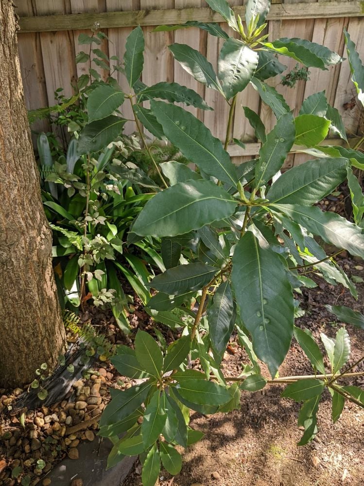 PXL_20220204_233046947.jpg PXL_20220204_233046947.jpg