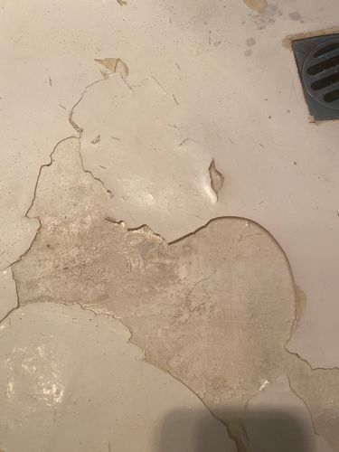 IMG_6380.jpeg IMG_6380.jpeg