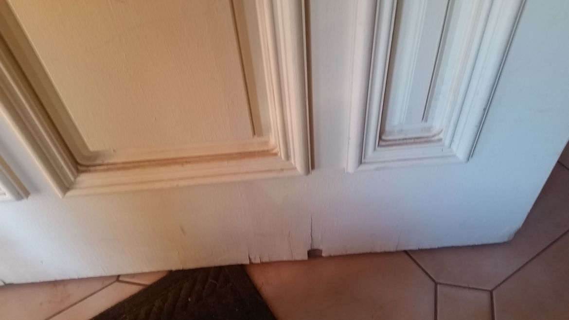 20190924_164249.jpg 20190924_164249.jpg